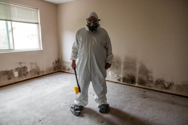 Best Industrial Mold Remediation in Douglass Hills, KY